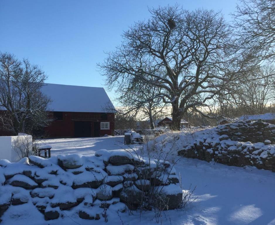 Rosenborgs Friluftspensionat Färjestaden エクステリア 写真