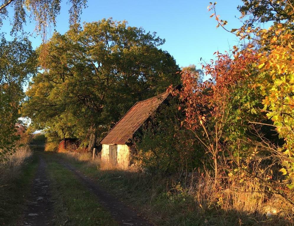 Rosenborgs Friluftspensionat Färjestaden エクステリア 写真
