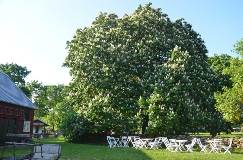 Rosenborgs Friluftspensionat Färjestaden エクステリア 写真